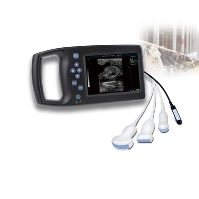 qualità Veterinary Ultrasound Probe Medical Equipment Good Support Veterinary Ultrasound Scanner Laptop Ultrasound Sonoscape Livestock Price fabbrica