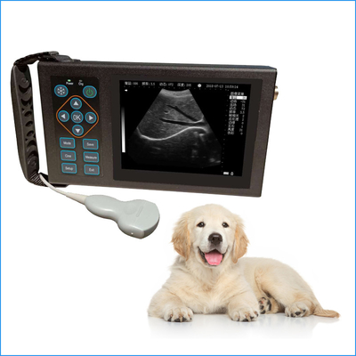 Cheap Livestock Veterinary Ultrasound Machine For Dog Cat Animal Use Good Price